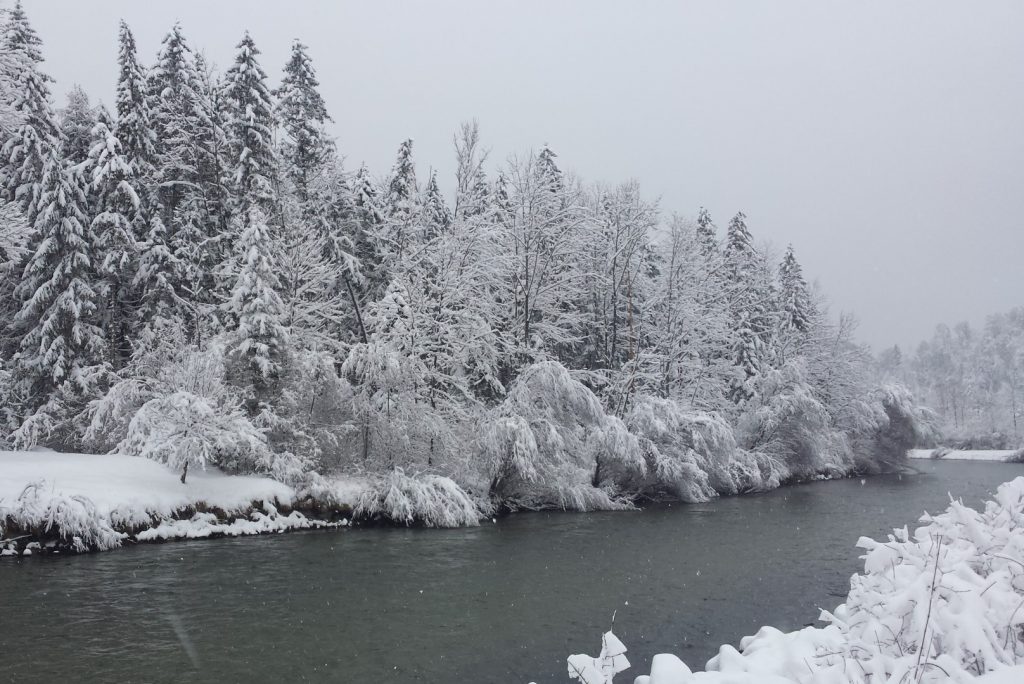 Die winterliche Traun