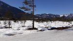 Langlaufen am Wolfgangsee 1