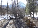 Langlaufen am Wolfgangsee 6