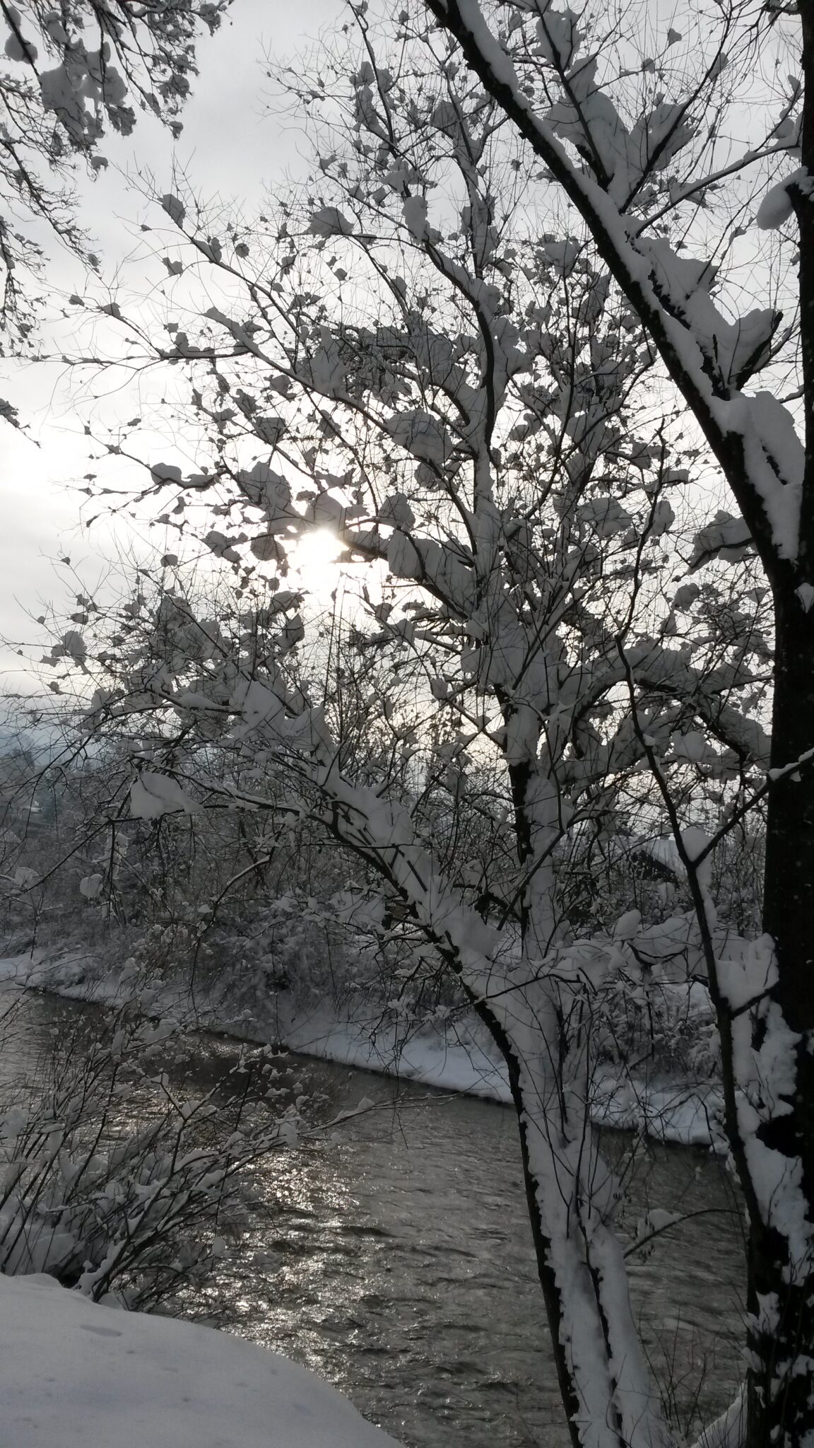 Schneelandschaft am Fluss